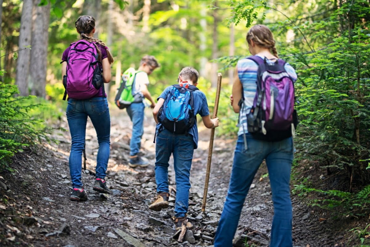 Family of four experiencing the healing power of Mother Nature while hiking on a forest trail.