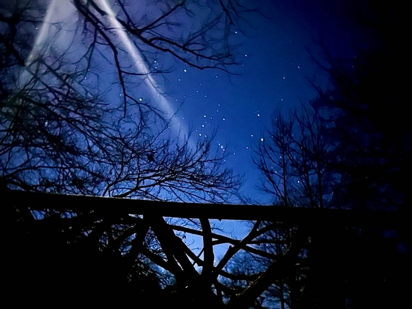 Night sky viewed through silhouetted bare trees, featuring a streak of light possibly from a meteor, and scattered stars visible against a dark blue background.