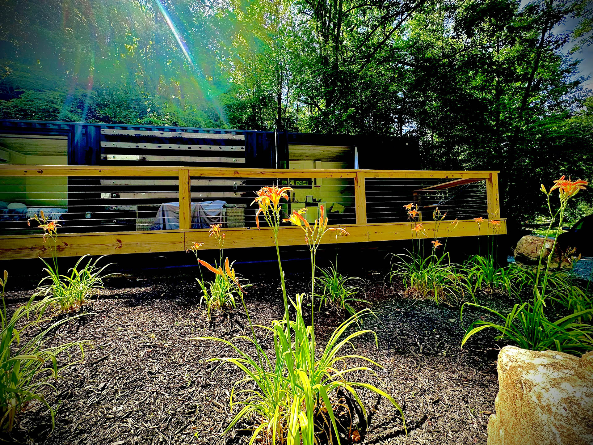 Wooden deck surrounded by lush garden with blooming orange flowers, bathed in sunlight filtering through trees.