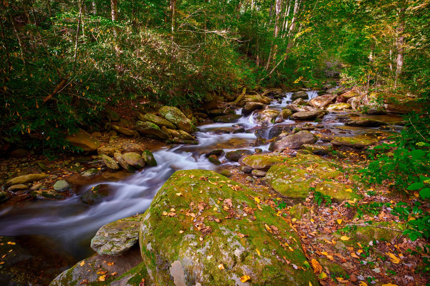 A serene woodland stream with smooth water flowing over rocks, surrounded by trees with early autumn foliage is one of the local attractions.