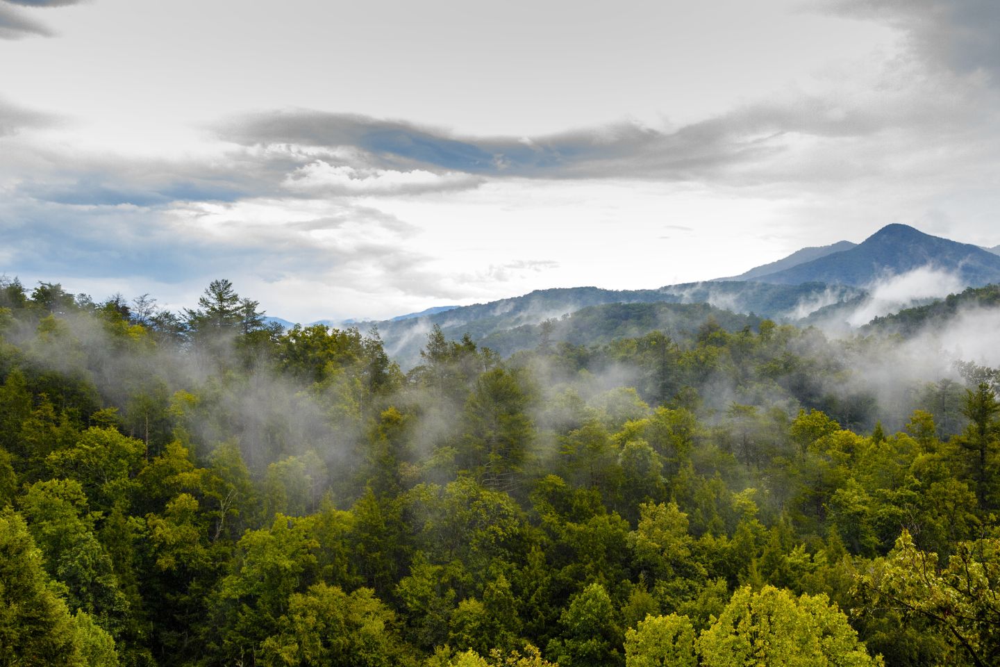 Misty mountains with low clouds hovering above a dense green forest featuring local attractions under a partly cloudy sky.