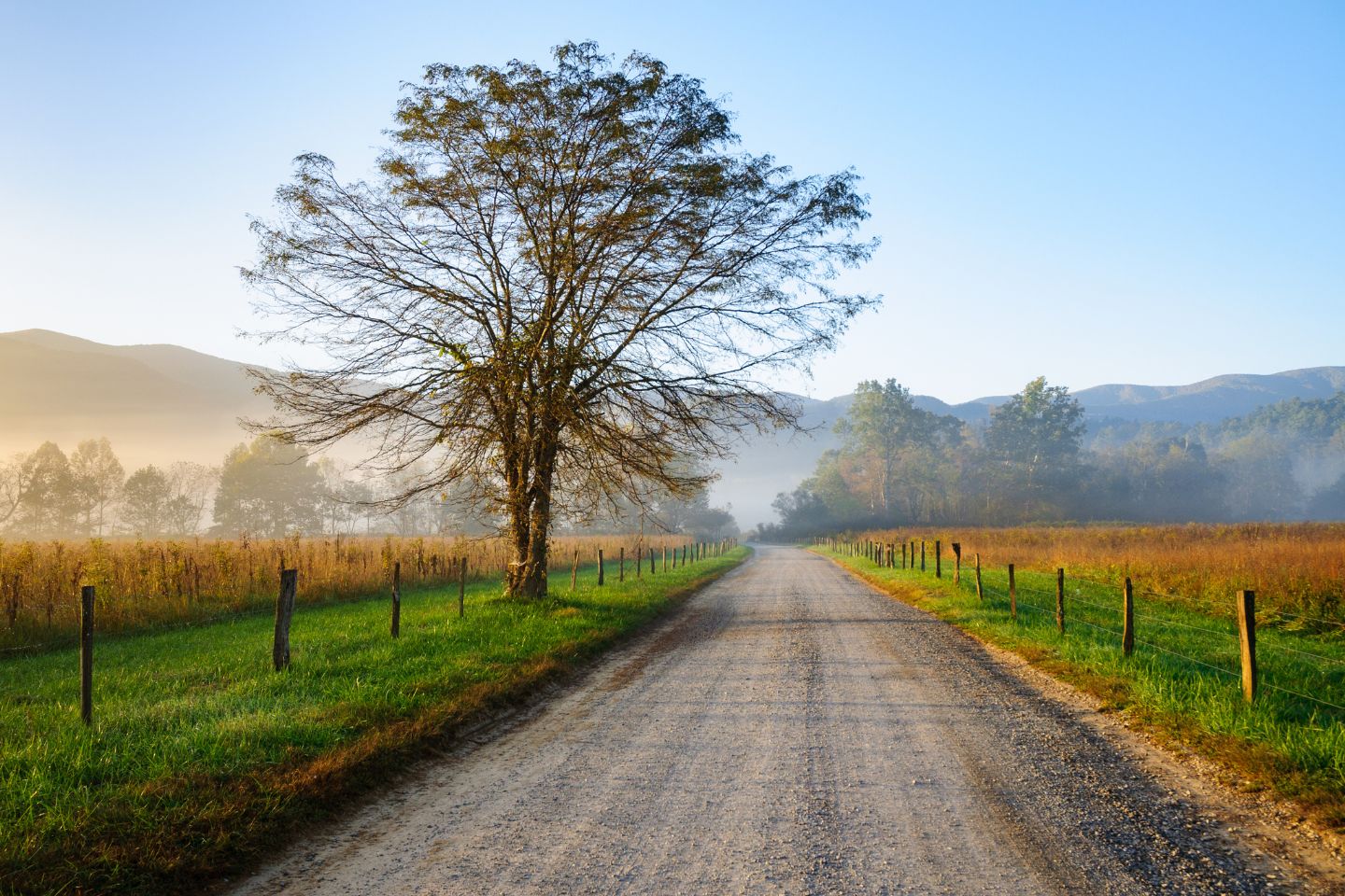 A serene country road flanked by fences and a large tree, leading towards mist-covered mountains at sunrise, ideal for exploring local attractions.