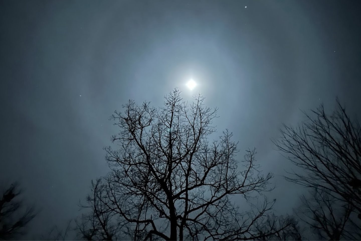 A moonlit night sky with clouds and the silhouette of leafless tree branches in the foreground, evoking a serene and introspective experience.