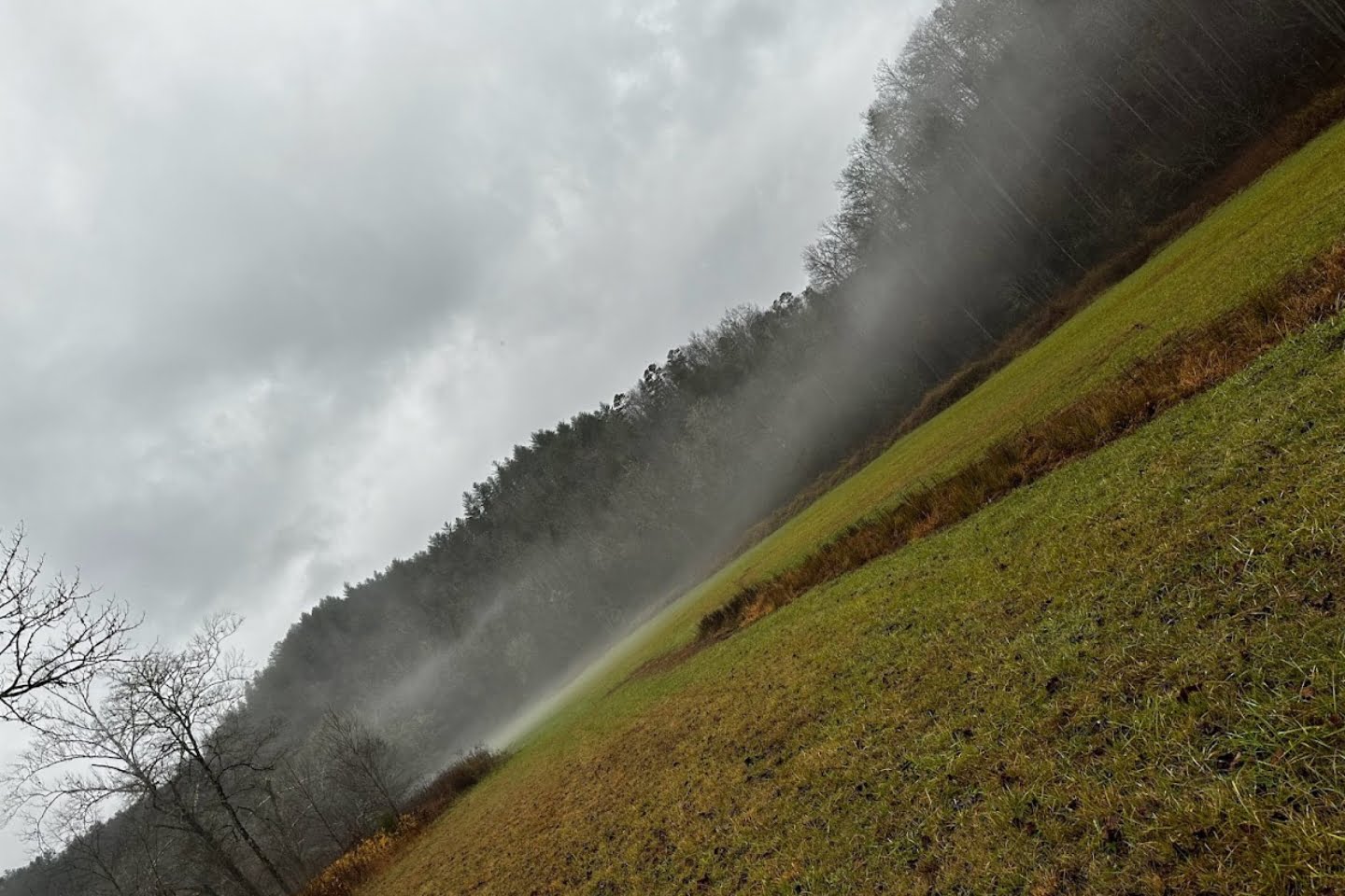 A landscape view of a grassy field bordered by leafless trees and forested hills offers profound experiences. Mist drifts across the field under a cloudy sky, adding to the scene's ethereal beauty.