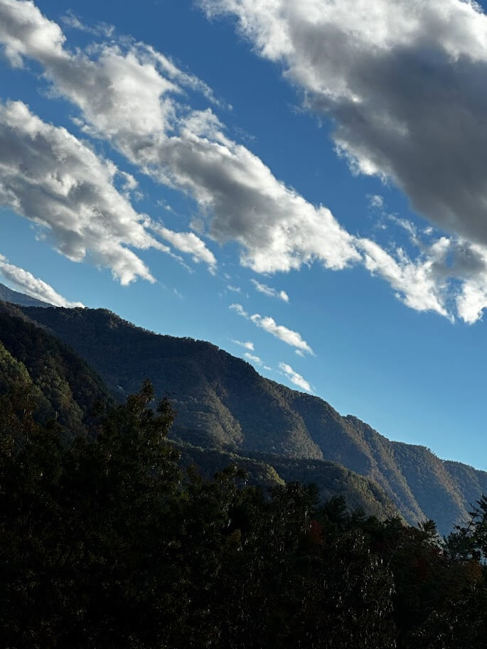 Sunlight casts shadows on a mountain range with scattered clouds above and dense foliage in the foreground, inspiring themes for home decor.