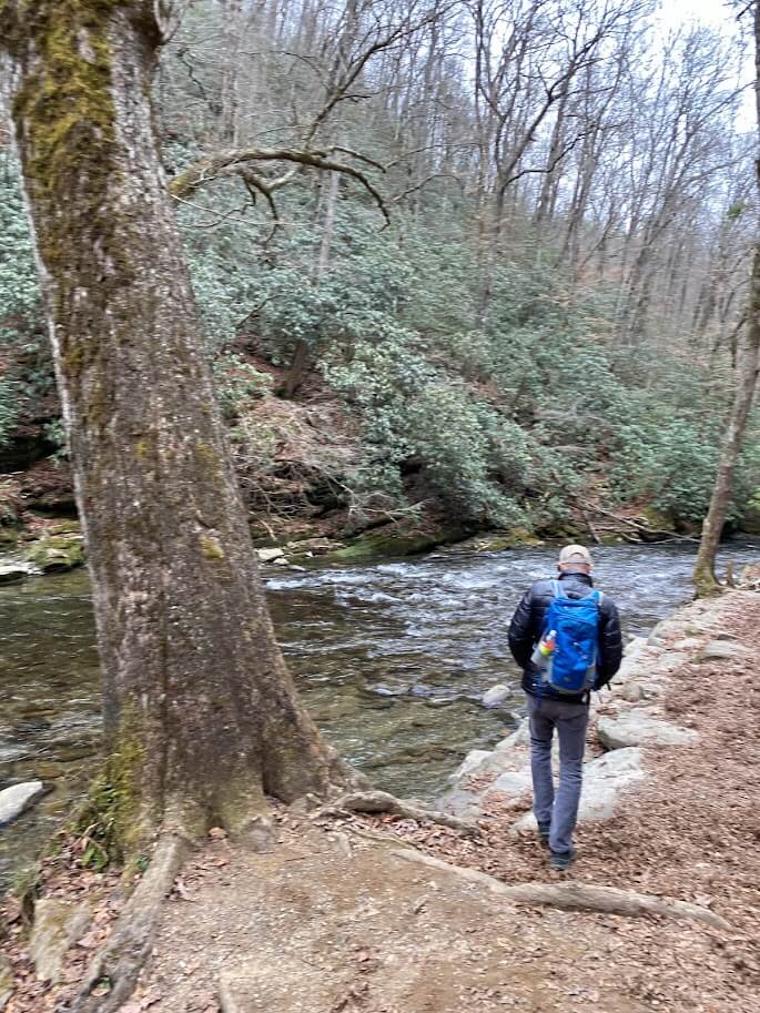 A person with a backpack standing by a forest stream, facing away from the camera, with trees and an artistically curved branch overhead, reminiscent of interior design elements.