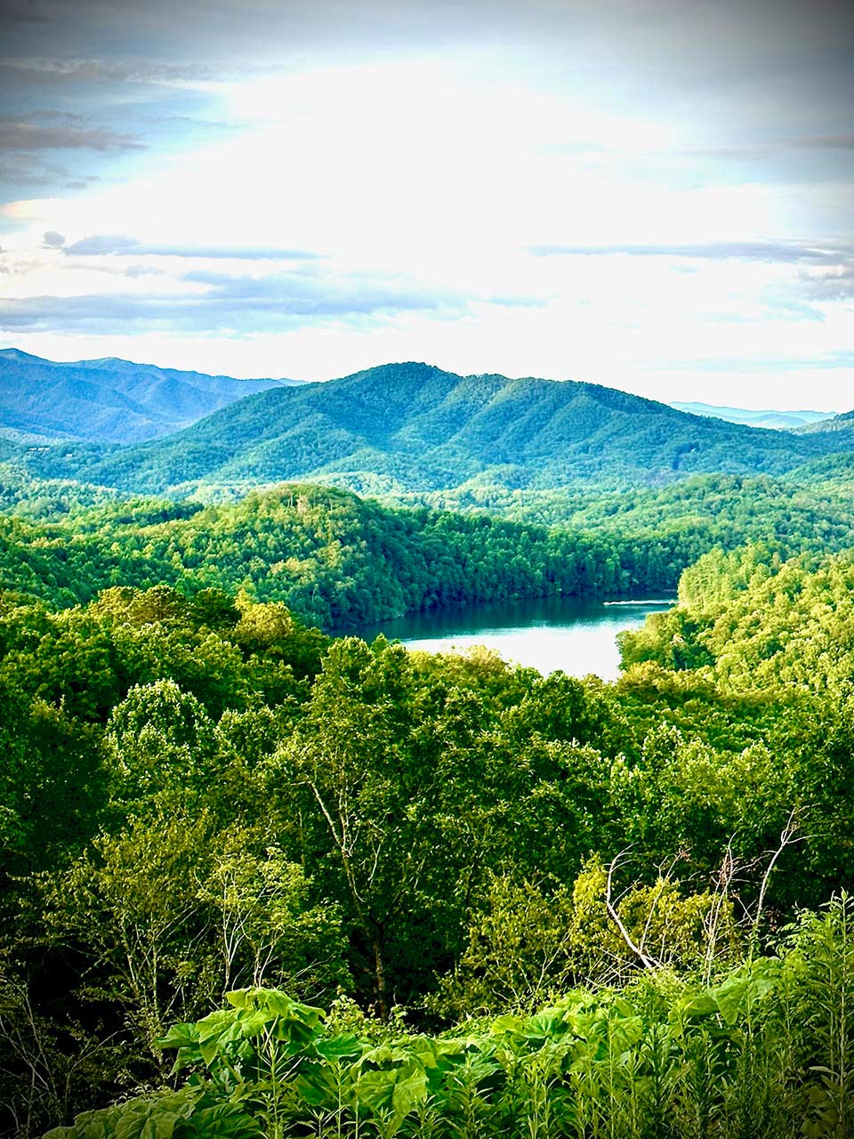 Lush green forest in the Smoky Mountains area with a small lake nestled among rolling hills, under a cloudy sky.