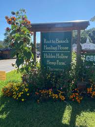 A wooden sign for "Root to Branch Healing House" and "Hidden Hollow Hemp Farm" surrounded by vibrant flowers under a clear blue sky, offering unique experiences.