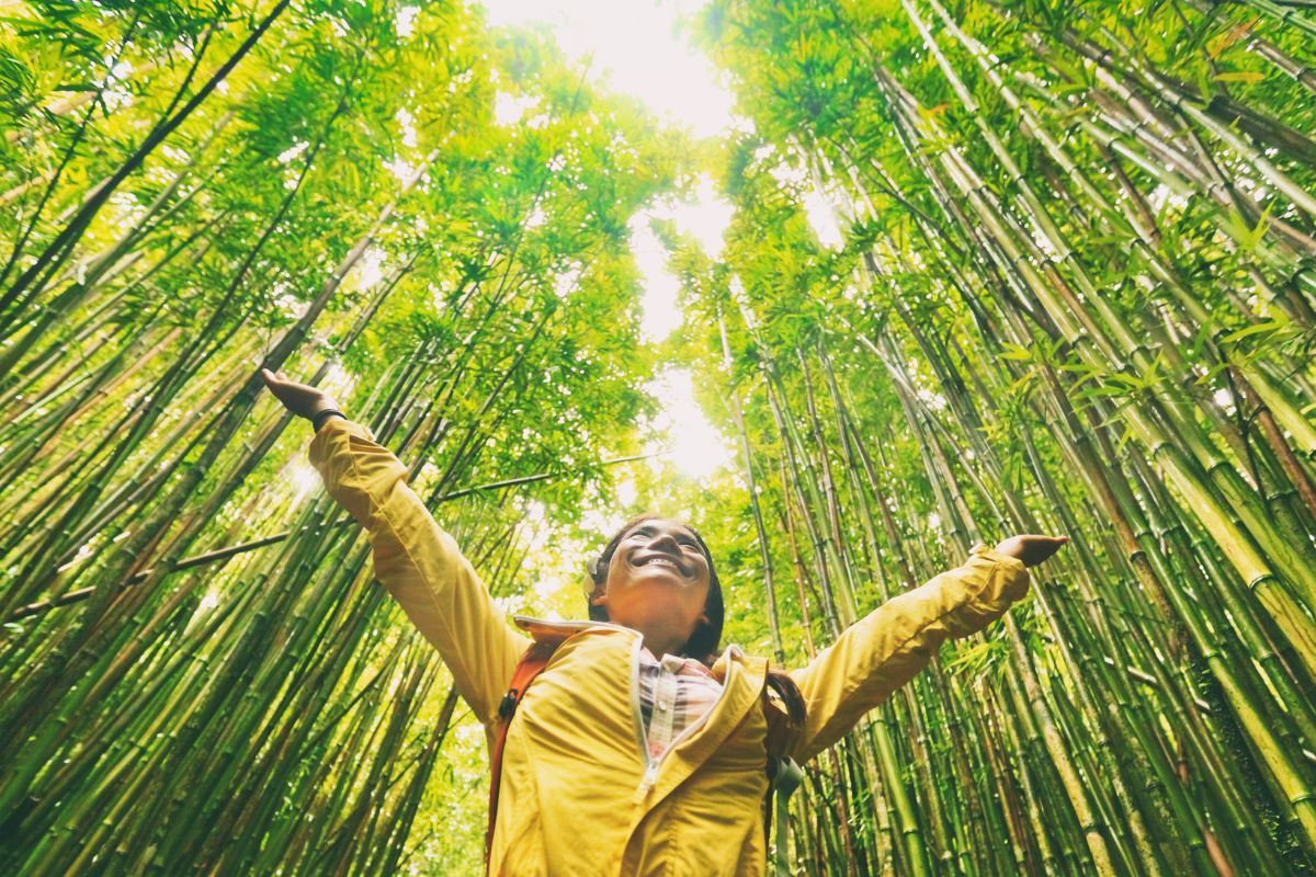 A person in a yellow jacket with arms spread wide, feeling joyful in a dense bamboo forest, looking upwards, embracing the latest adventure travel trends.