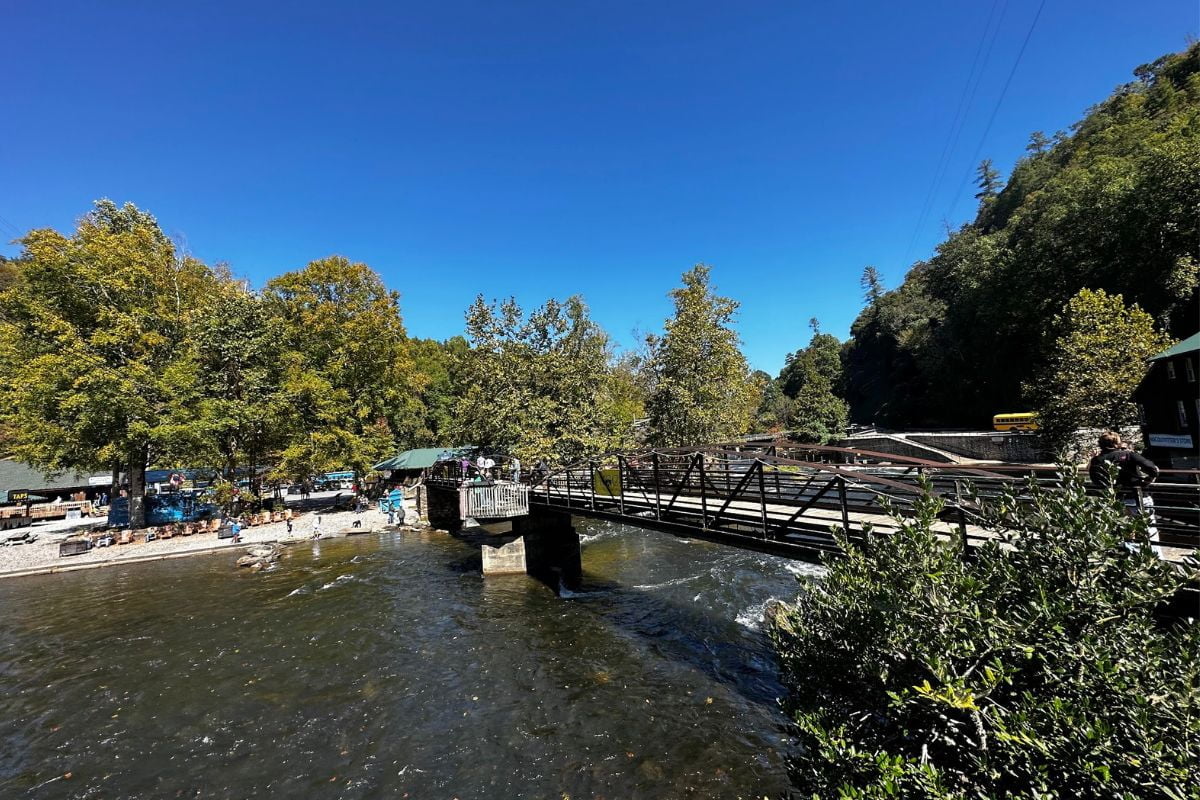 A wooden pedestrian bridge crosses a flowing river surrounded by trees under a clear blue sky. People are visible near the riverbank, embracing eco friendly travel tips to preserve nature's beauty.