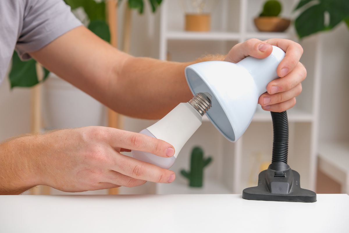 A person is installing a light bulb into a white lamp on a desk in a room with plants and shelves in the background, embracing sustainable living practices.