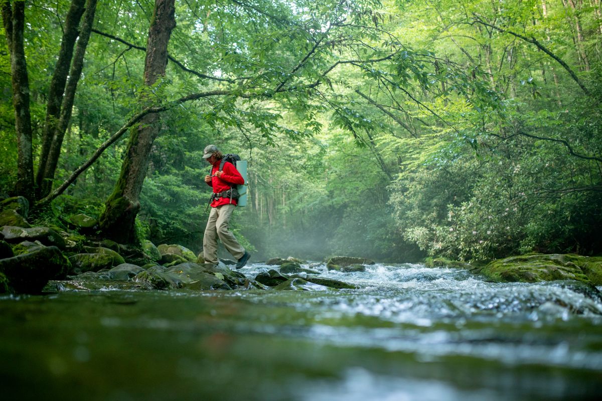 A person wearing a red jacket and a backpack walks across stepping stones in a forest stream, surrounded by lush green trees, showcasing one of the many activities in the Great Smoky Mountains.