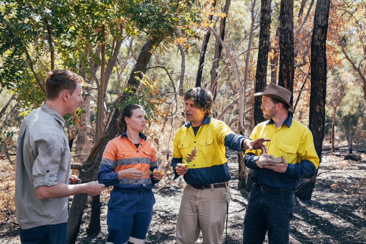 Four people in work clothing and high-visibility gear are having a discussion in a wooded outdoor area, with one person gesturing towards something in the distance, likely related to their ongoing wildlife conservation efforts.