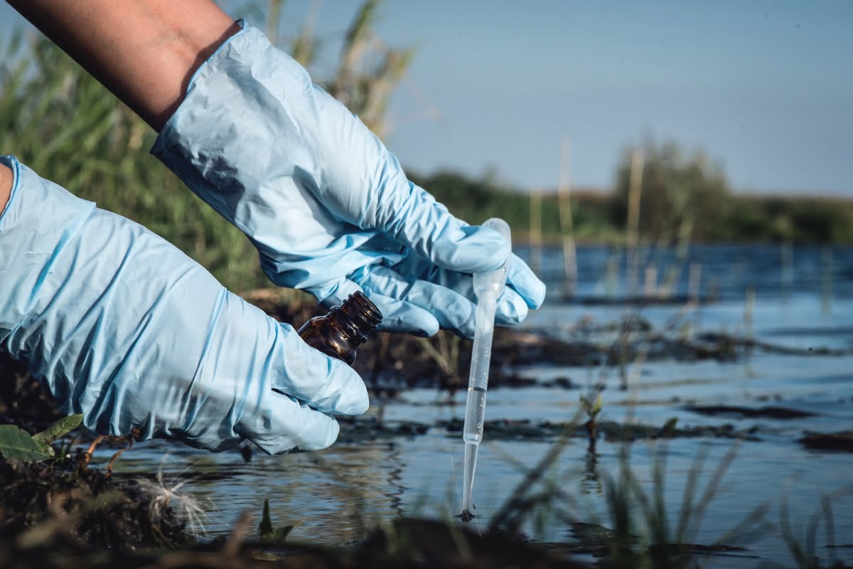 A person wearing blue gloves collects a water sample from a river or lake using a small pipette and bottle, contributing to ongoing wildlife conservation efforts.