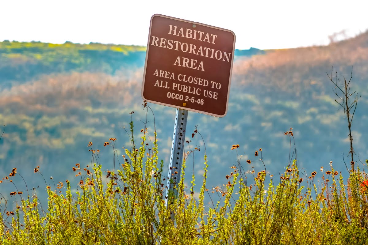 A sign reading 'Habitat Restoration Area' and 'Area Closed to All Public Use' stands amidst plants, with hills in the background, highlighting wildlife conservation efforts.