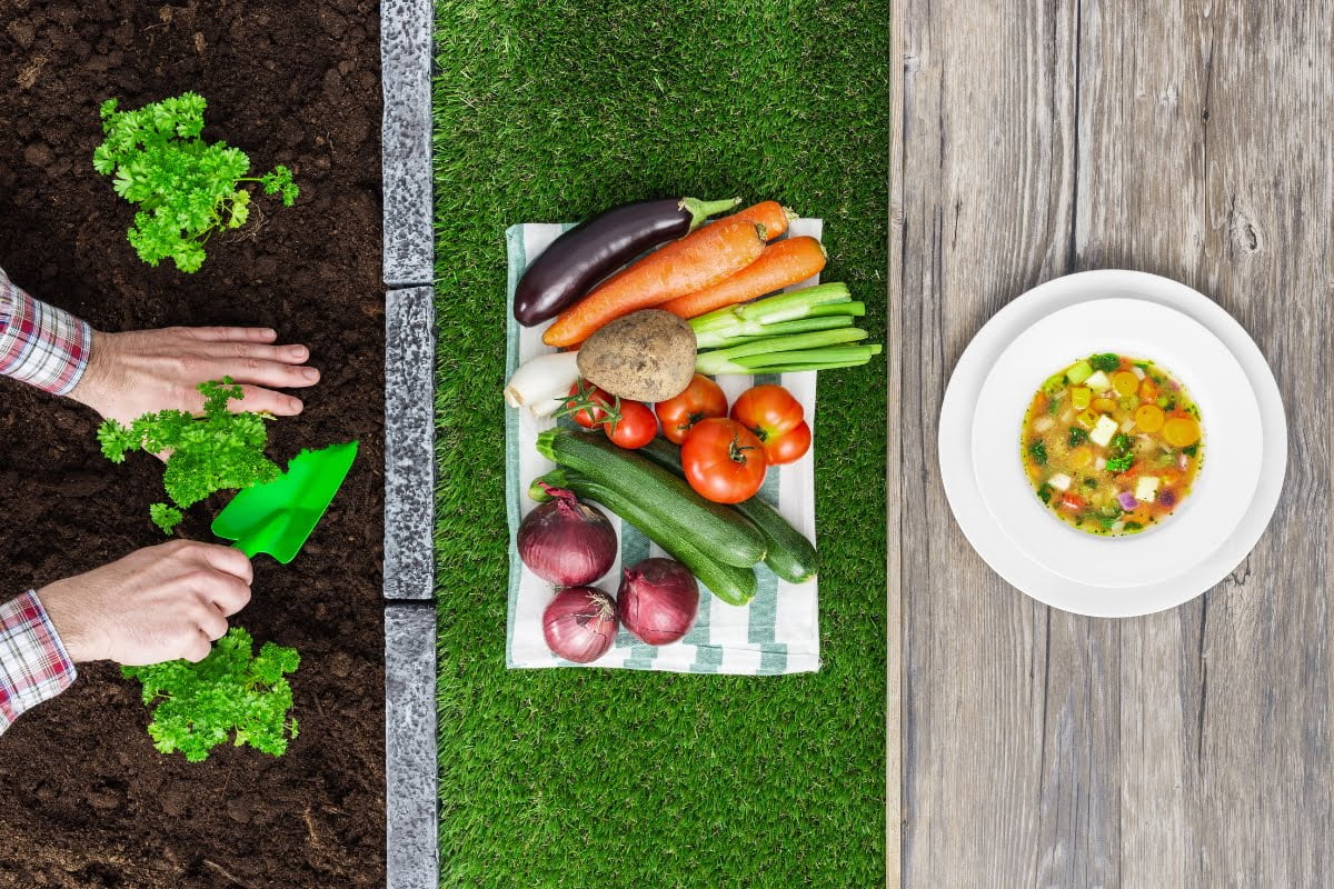 Hands planting kale, a variety of vegetables on a cloth, and a bowl of vegetable soup on a wooden surface capture the essence of rich culinary experiences.