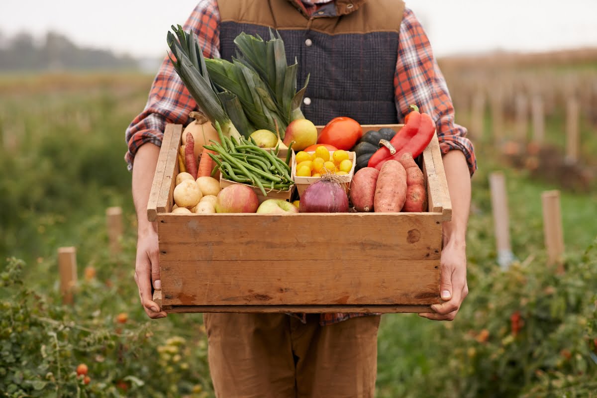 Person holding a wooden crate filled with a variety of fresh vegetables, including leeks, tomatoes, peppers, potatoes, onions, and green beans in a farm setting, ready to inspire unforgettable culinary experiences.